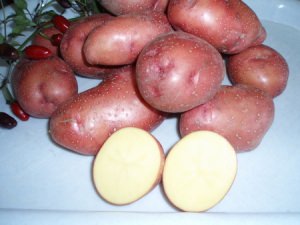 Семена большого картофеля: listiki-igolkiru