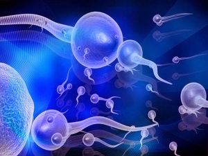 Мобильные телефоны влияют на качество спермы
